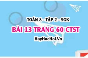 Bài 13 trang 60 Toán 8 Tập 2 Chân trời sáng tạo